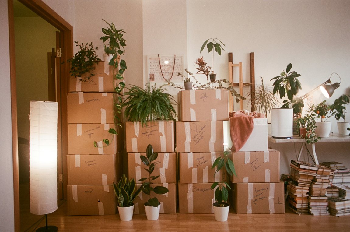 Mudanza de un piso con cajas, libros y plantas listas para trasladar